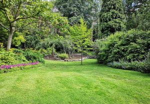 Optimiser l'expérience du jardin à La Chapelle-des-Marais
